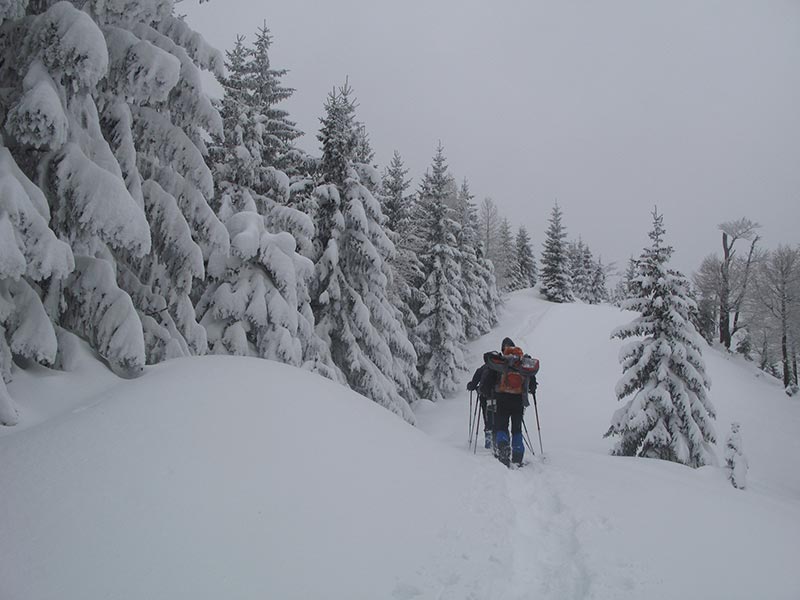 Auf dem Kamm zum Gipfel